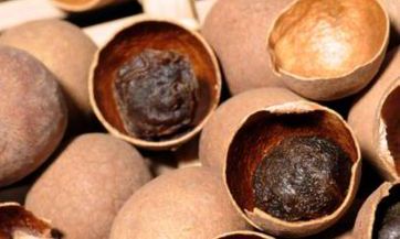 详解2023年农历闰二月初二龙头节是不是黄道吉日以及龙头节所对应的时辰吉凶查询