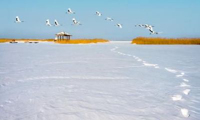 探究2022年腊月出生的人是否命运吉利，了解他们将属于哪个星座