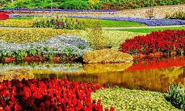 2023年的十二生肖——解析各种运势，详述每个月的运程和吉凶变化趋势