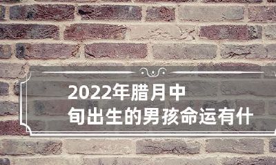 探究2022年腊月中旬出生男孩命运的独特特征是什么？