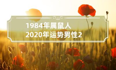 2020全年财运、爱情和事业：深度剖析1984年属鼠男性的运势！