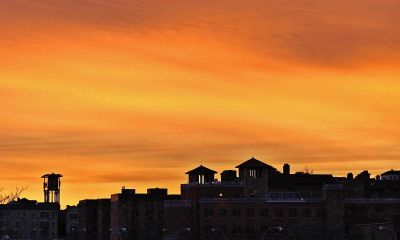 2019年是属鸡人是否适合选择结婚，而哪些月份最适合结婚呢？