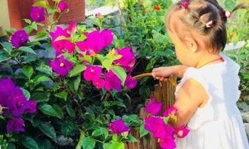 技巧：八种有益于夫妻感情提升的风水改善方法