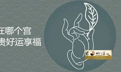 哪个宫殿拥有丰厚的财富、福运和幸福？