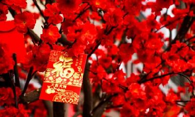 2023年春节前一天出生的宝宝，将属于哪个星座呢？