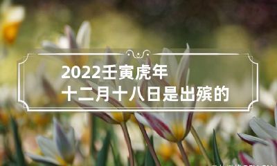 根据2022年农历壬寅虎年的日历，12月18日是否适合进行出殡仪式？