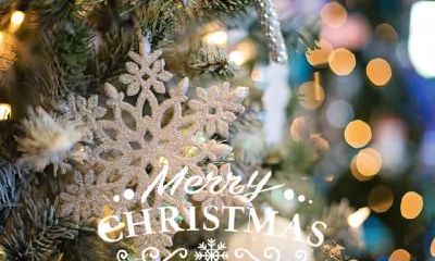 2022年圣诞节落在哪一天？圣诞宝宝是否有着特别的含义和影响力？