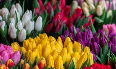 哪些年出生的农历日柱所对应的人，更容易成为大富大贵之人？