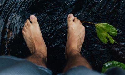 生来脚掌具有斗形，人生道路中途的幸福优势