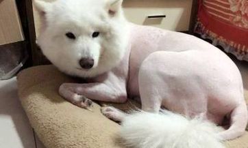 什么是2023年春季社交日的日期和时间？