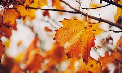 2022年国庆七天假期中，哪天最适宜出行观光？还有什么精彩电影即将上映？