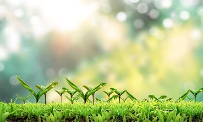 作为天蝎座，如果你还没有实现所期望的成功，该如何应对？