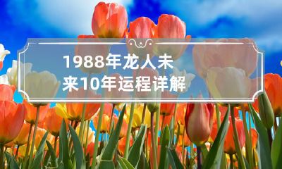 详解1988年龙人的未来十年运势及趋势预测