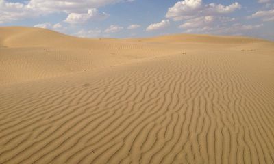 2019年属蛇者的结婚吉日查询: 详细探讨2019年适合属蛇人结婚的最佳日期选择？