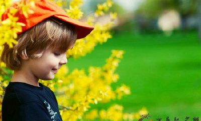 最全！2016年猴年男宝宝名字大全，供男孩家长选择！