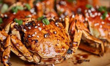 是哪些？哪些星座最能够巧妙地隐藏自己的智慧？