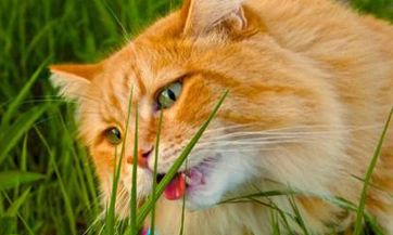 2023年农历二月初一旅游出行吉日查询：适合出远门吗？