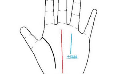 如何通过观察手掌心的事业线来判断职业成功-事业线详细解析