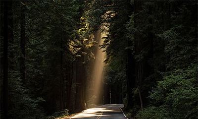 壬子日柱男命运：详细解析壬子日柱男命的命运如何？