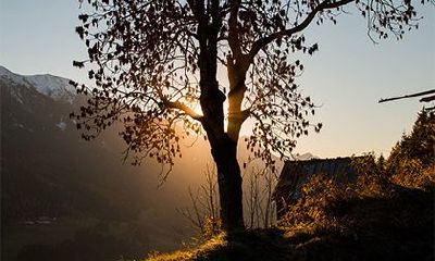 壬子日柱终身命运综合分析，洞悉壬子日生人的吉凶福祸