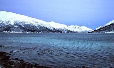 是什么？根据五行学说推荐丙午日出生的最佳时段是什么？