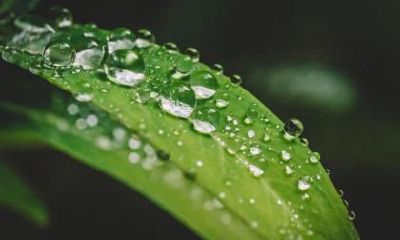 2022年农历八月十二的白露节气适合举办婚礼吗？是宜嫁良辰吉日吗？