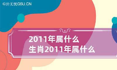 2011年生肖属于哪一种，以及对应的星座是什么？