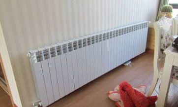 探究属牛人的性格特点及其优缺点，发掘令人骄傲的优点