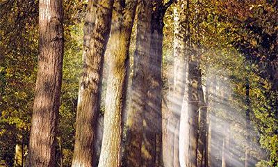 是否真的如传说中那样惨淡？探析壬辰日柱人群的婚姻现状