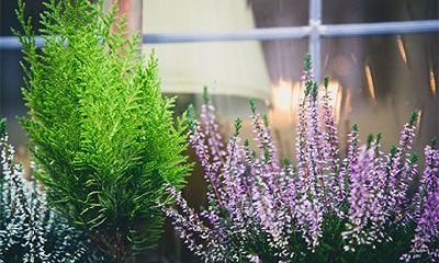 如何在鬼月中转运阴历七月的低迷运势？全面介绍鬼月的禁忌与注意事项！