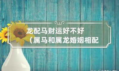 马龙配对：婚姻幸福还是胡乱瞎搭配？探讨属马配属龙的财运和缘分契合程度