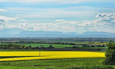 对一个于2023年农历四月十八日降生的女婴进行命理解析