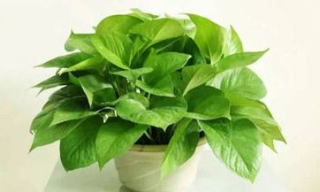 孕妇睡床的不可偏失之道，以及房角缺损对母婴健康的潜在影响