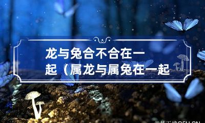 属龙和属兔的配对是否合适？探讨龙与兔的爱情能否成就美满姻缘