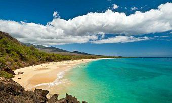 属蛇人在2019年中的什么月份会是最佳结婚时间？