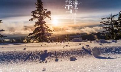 生肖鸡在大雪节气降生的人命运会受到何种影响？探析大雪节气中属鸡人的命理特点