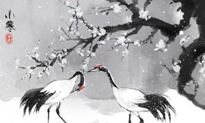 小寒节气的意义及解释：传统节气中的小寒代表什么意义？小寒节气的含义与解析