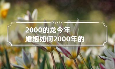 探究2000年出生的龙的婚姻状况：命运如何决定了他们的情感轨迹？