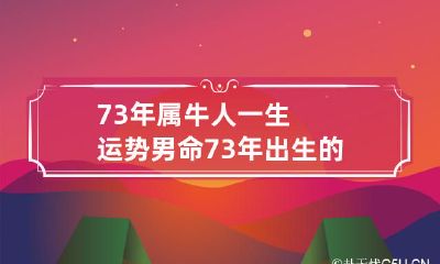 揭秘73年出生的属牛人的男命运势及命运之道