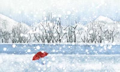 大雪节气出生的蛇年生肖人命运解析：详细剖析逐渐透彻！