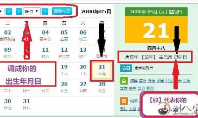 如何正确理解和应用八字中的日柱、日干和日支？