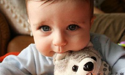 2015年度最受欢迎的羊年男宝宝名字综合大全，帮你选出最好听的宝宝名字！