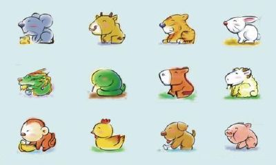 为什么那些属蛇的人总是自称为小龙？探究属蛇身份的弊端和问题