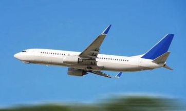 什么是乌龟濒死前的迹象？如何判断一只乌龟是否即将死亡？