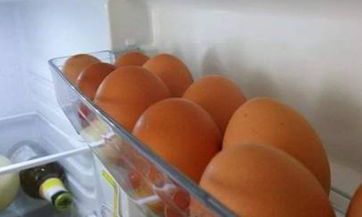 撞到小动物时要注意些什么?怎样有效化解可能带来的不良后果？