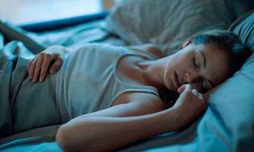 乌龟能否被托运并安全转移？