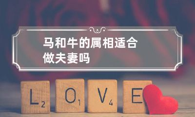 马和牛的生肖组合是否适合建立一段稳定长久的婚姻关系？