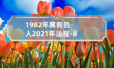 40岁属狗的1982年出生者，2021年的运势预测