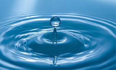 你知道天河水的生肖是什么吗？有没有了解过天河水命的最佳花卉？