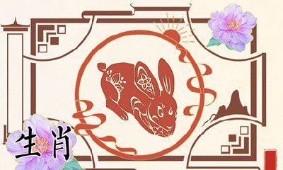 生肖兔的最佳配对对象：与属猪人完美契合的恋人选择